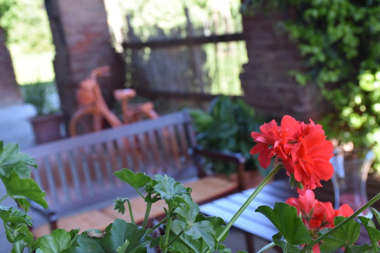 La Casa Di Enzo Bed and Breakfast Lequio Tanaro Εξωτερικό φωτογραφία